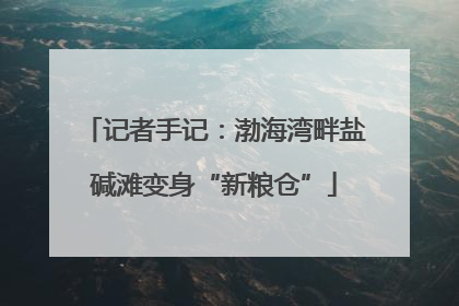 记者手记：渤海湾畔盐碱滩变身“新粮仓”